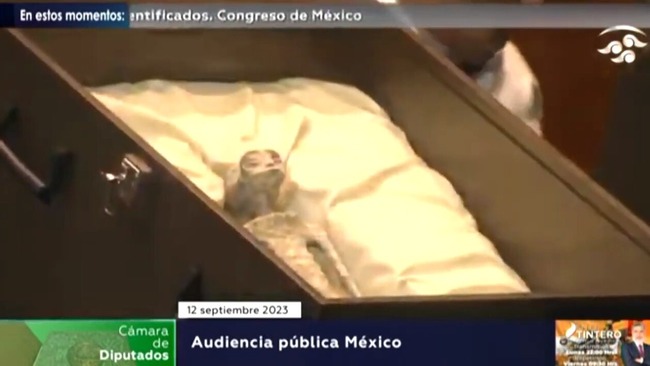 �ᥭ�����������ꥢ��UMA��UFO��ɸ�ܡ����С��˴�Ϣ��������-01