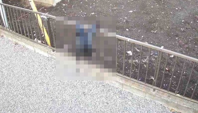 防犯カメラ　緊急アラート　録画　カラスに関連した画像-01