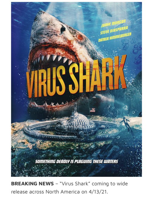 ᡡ󥽡ǲ衡Ǥ˴Ϣ-06