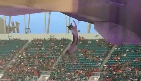 猫　落下　スタジアム　アメリカンフットボール　アメリカ　トラブルに関連した画像-01