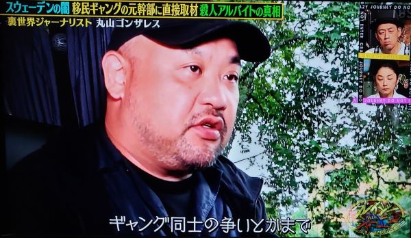 ���쥤�������㡼�ˡ������������ǥ��̲�����̱������󥰡����¡��Ⱥ�Ψ���ݻ����󥶥쥹�˴�Ϣ��������-12