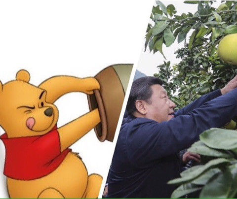 中国 習近平 くまのプーさん 検閲に関連した画像-07