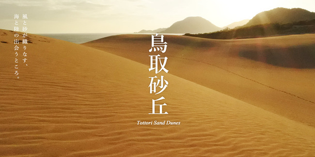 鳥取砂丘 外来種 雑草 緑化 草原化 深刻 除草 3000人 導入に関連した画像-01