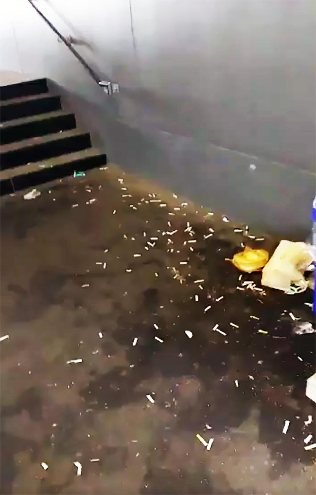 ˭���Ծ졡���Х����ݥ��Τơ��ޥʡ����˥���������˴�Ϣ��������-04