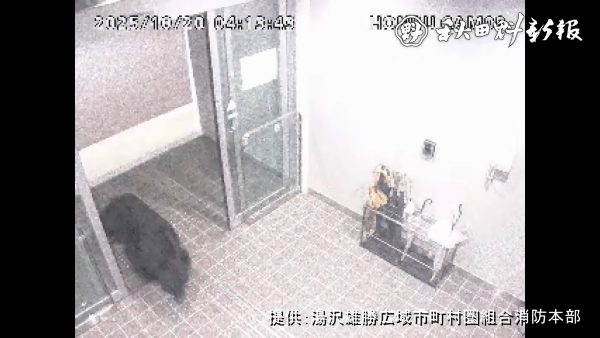 秋田県 庁舎 自動ドア 熊 クマ 侵入 動画 映像に関連した画像-04