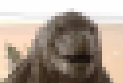 ���˥� ������ ��˴�Ϣ��������-01