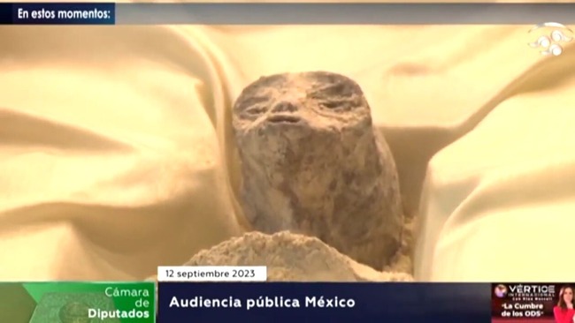 �ᥭ�����������ꥢ��UMA��UFO��ɸ�ܡ����С��˴�Ϣ��������-02