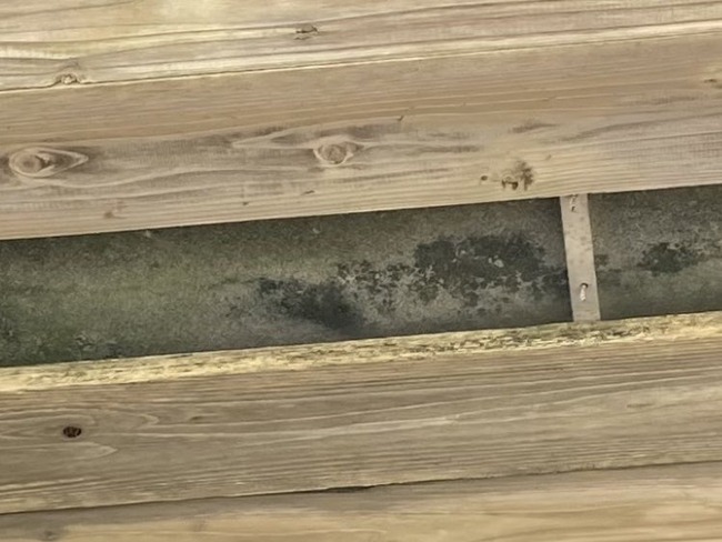 ���ܺ�Ĺ����¤����˩�鶶�����ͥ����¼趶���ʿ������󥯥꡼�ȡ��䶯�����������塡�̹������˴�Ϣ��������-04