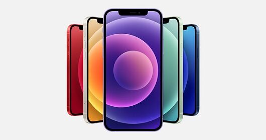 iPhone12miniÀ½Â¤½ªÎ»ÊóÆ»¤Ë´ØÏ¢¤·¤¿²èÁü-01