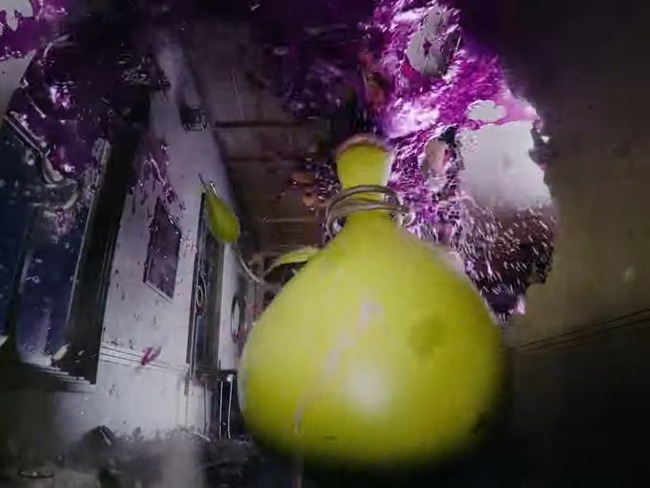 ポケットモンスター ポケモン 甘くいざなう建物事件 ZA ポケモンレジェンズ ウツボット メガシンカに関連した画像-11