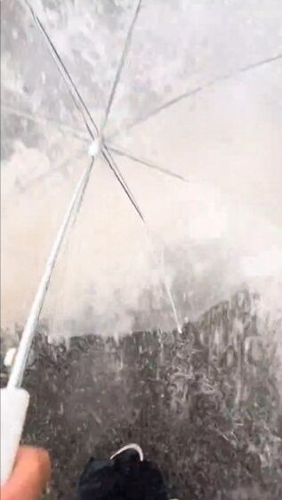 ����� �ȥ�å� �ɥ饤�С� �夿�ޤ� ��®�ʤ� ���ץ�å���ޥ���ƥ�˴�Ϣ��������-06