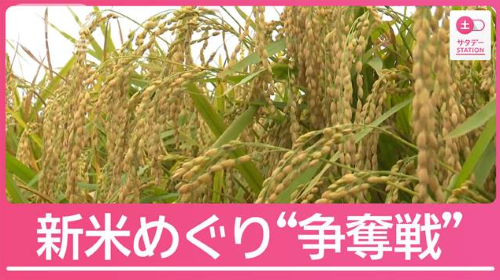 新米　お米　JA　農家　農協　価格に関連した画像-01