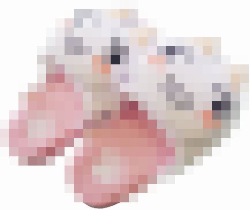 0hajkhlaa16