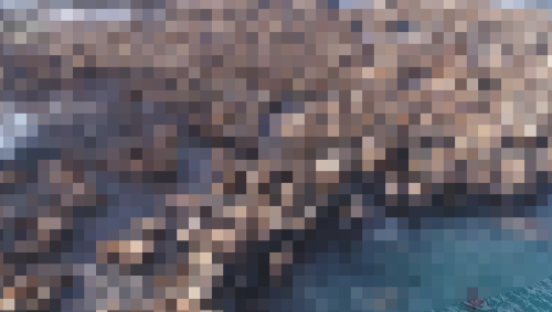 トド　無人島　弁天島　北海道稚内市　宗谷岬沖　3000頭　に関連した画像-01