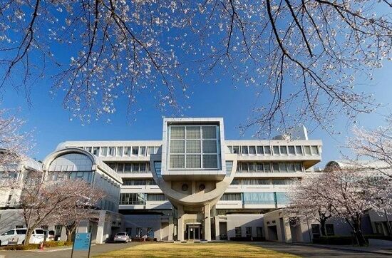 スマホ　盗撮　桐蔭学園　横浜　ラグビー　硬式　野球　に関連した画像-01