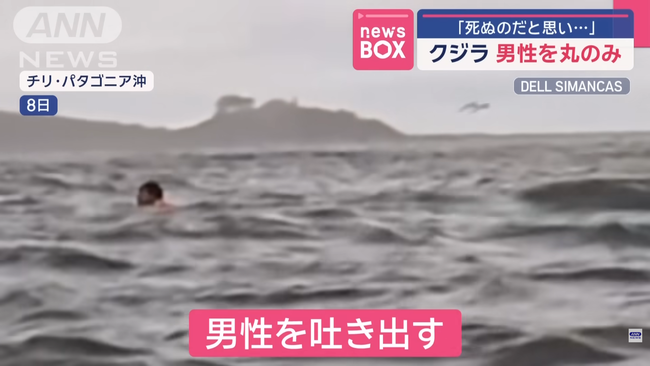 �����顡��ƻ����������������å����ܡ��ȡ����ꡡ�ѥ����˥��˴�Ϣ��������-04