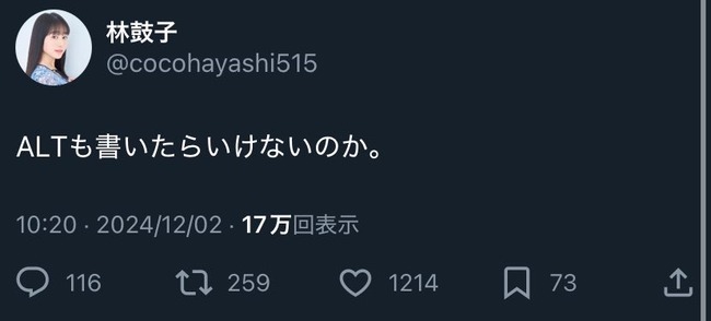 �Ӹݻ� ��֥饤�� ��ͥ ͥ�ڤ��ĺ� ��о㳲�� ALT X ����ʸ ��ǽ�˴�Ϣ��������-03