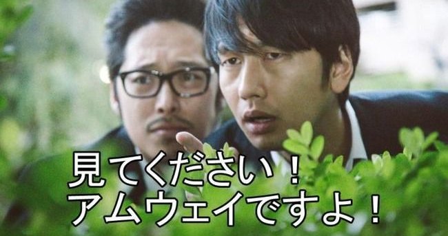 アムウェイ　マルチ商法　勧誘　逮捕に関連した画像-01