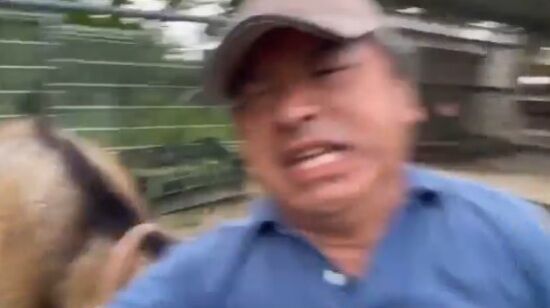 国民民主党 榛葉賀津也 ヤギ 襲撃に関連した画像-05