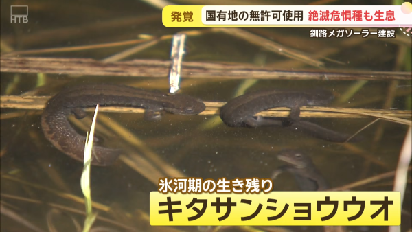 ��ϩ�������ᥬ�����顼�����ܥ������������Ķ��˲������Ǵ����������Ƴ����ͭ�ϡ��ͥåȤ�ȿ�����̳�ƻ�����۸�ȯ�Ť˴�Ϣ��������-03