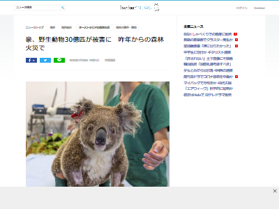 �������ȥ�ꥢ ���Ӳк� ưʪ �ﳲ 30��ɤ�˴�Ϣ��������-02