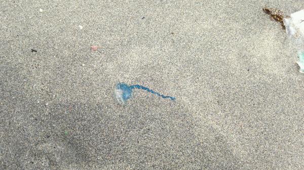 ���ĥ��Υ��ܥ��˴�Ϣ��������-03