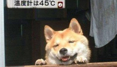 967e0ac805c082ae31322f3269646ceb