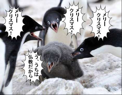 日本 クリスマス 外国人に関連した画像-01