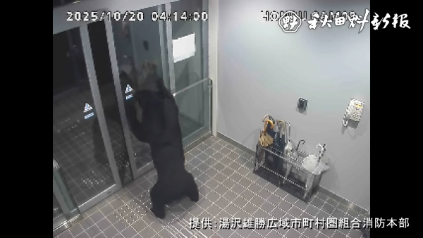 秋田県 庁舎 自動ドア 熊 クマ 侵入 動画 映像に関連した画像-06