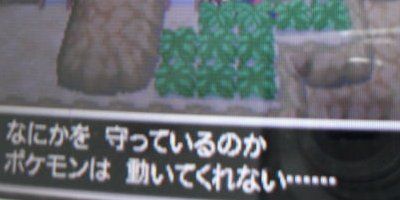 O Ds ポケットモンスターbw2 で伝説のポケモンが捕まえられない致命的なバグが発覚したらしい オレ的ゲーム速報 刃