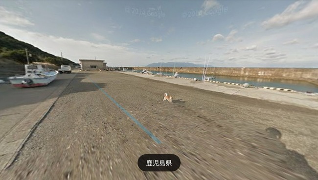 グーグル google ストリートビュー 犬 イッヌに関連した画像-06