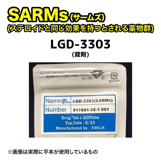 RIZIN ʿ��ϡ �ɡ��ԥ� ���� ���� ή�Ф˴�Ϣ��������-02