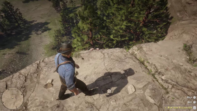 RDR2������ץ쥤�˴�Ϣ��������-11