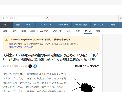  󥴥֥  ñ Ȳ˴Ϣ-02