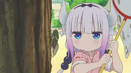 蝉　セミ　気温　昆虫　猛暑　梅雨に関連した画像-01
