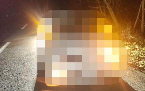 クマ　熊　ヒグマ　駆除　車　自動車　事故　損傷　大破に関連した画像-01