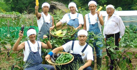 TOKIO�˴�Ϣ��������-01