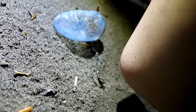 �ۥ⥵�ԡ��桼���塼�С���YouTuber�����ǥ��饲�����ĥ��Υ��ܥ����н��˴�Ϣ��������-04