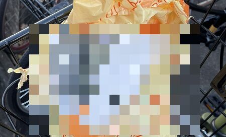 六法　法学部　大学生　自転車　カラス　被害　に関連した画像-01