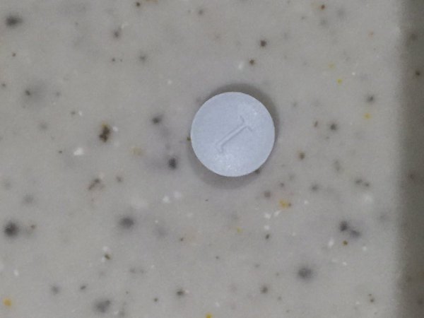 ��̲�����ѿ����Ŀ������򡡺�����˴�Ϣ��������-02