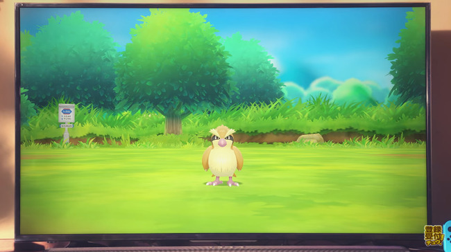 ポケットモンスター ポケモン ニンテンドースイッチに関連した画像-02