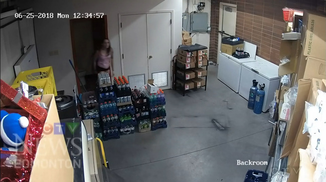 強盗 おバカ メタルギアソリッド MGS BGM ベストマッチに関連した画像-03