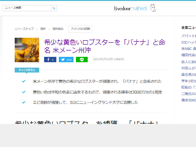 ���֥��������������Хʥʡ�̿̾�˴�Ϣ��������-02