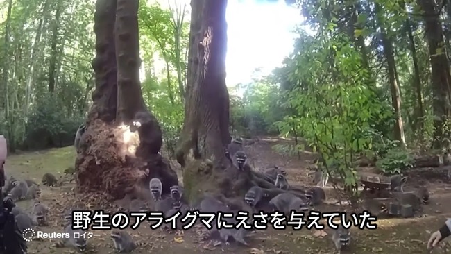 ����ꥫ ���� ���� ���饤���� 35ǯ ���դ� ���� ���� �ٻ� ����˴�Ϣ��������-03