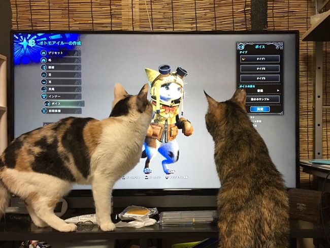 癒やし モンスターハンター ワールド に登場する アイルー に反応する猫たちが可愛すぎｗｗｗｗｗｗ オレ的ゲーム速報 刃