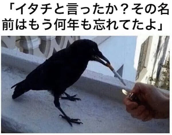 アメリカ 忍者 隠密任務 特殊部隊 兵士 国防に関連した画像-03