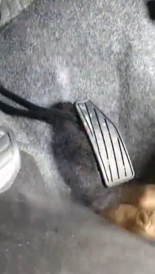 �ɥ饤�С� �� ®������ ���� �ޥåȤ˴�Ϣ��������-03