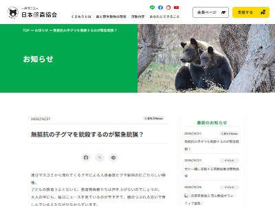 クマ 熊 被害 ツキノワグマ ヒグマ 駆除 猟銃 猟友会 北海道 砂川に関連した画像-09