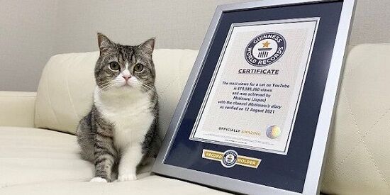 もちまる日記 もち様 下僕 YouTuber 猫アレルギー 花粉症 猫吸いに関連した画像-01