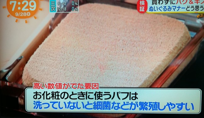 売り物 ぬいぐるみ ディズニー 頬ずり 汚いに関連した画像-05